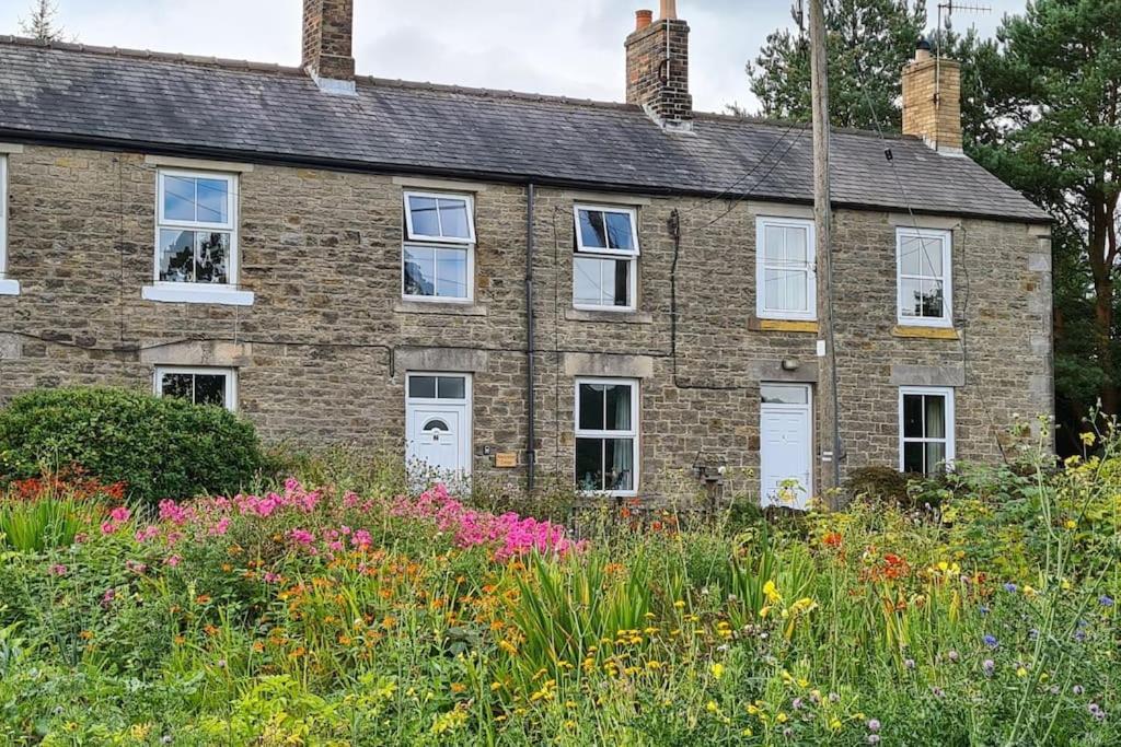 Woodcutters Cottage, Northumberland Haltwhistle Eksteriør billede